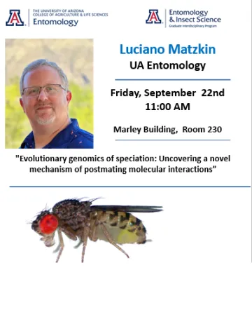 Luciano seminar flyer